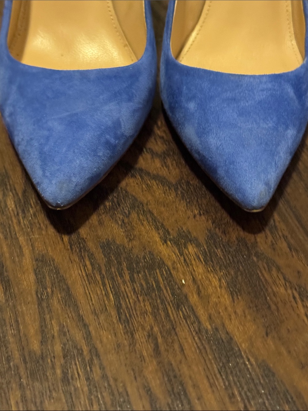 J. Crew Cobalt š Blue Suede Pointed Toe Pumps - Picture 4 of 8